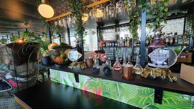 Monkey Rooftop Bar