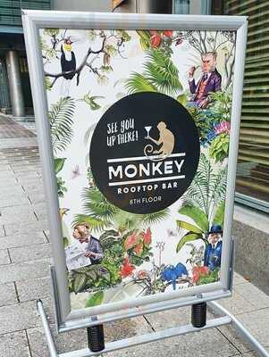 Monkey Rooftop Bar