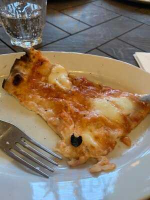 Olivia Central Station