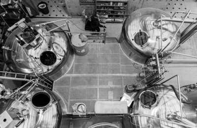 Coolhead Brew Taproom & Kitchen