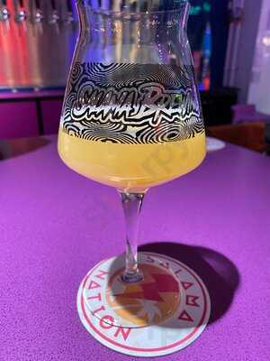 Salamanation Craft Beer Bar
