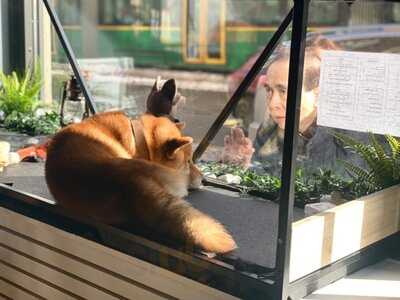 Pikku Muuri Cafe & Bistro