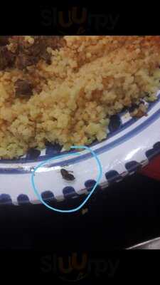 La Fontaine Castellane