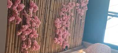 Foto 65278407