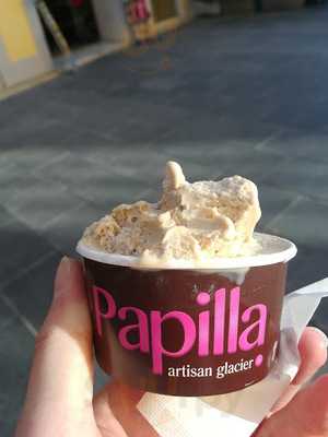 Papilla
