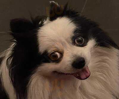 Mille Et Une Saveurs Bordeaux