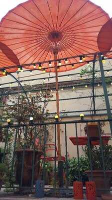 Foto 37447363