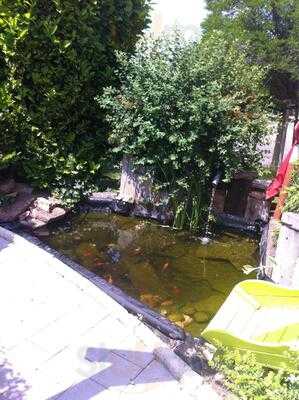 Foto 54346199