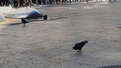 Foto 54405121