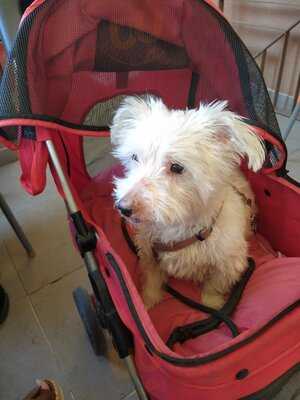 Les Terrasses De St. Mitre