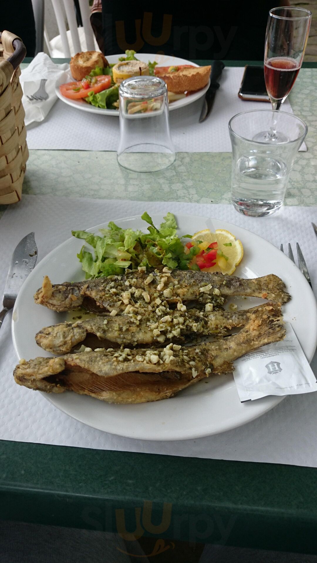 Ondoria
