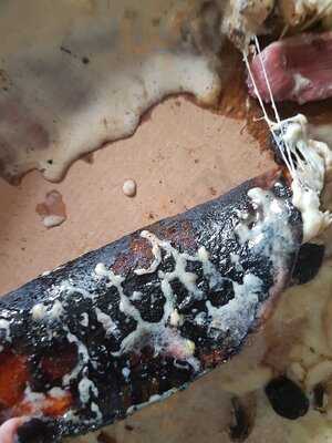 Foto 37982721