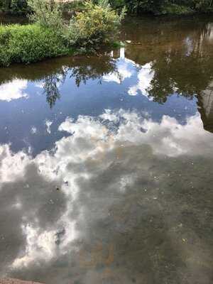Foto 37991880