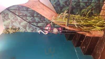 Foto 53599708