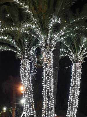 Foto 53525377