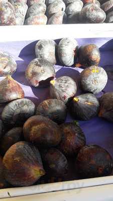 Foto 10980118