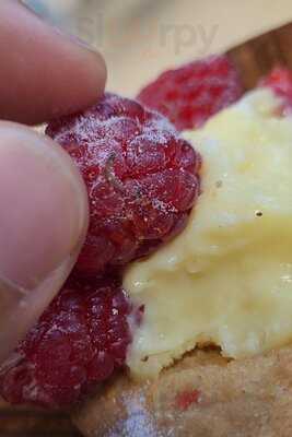 Les Delice De L'eveche