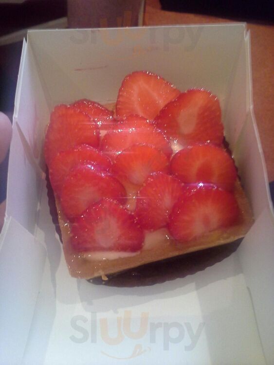 J. Multari Maccarani