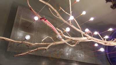Foto 54340421