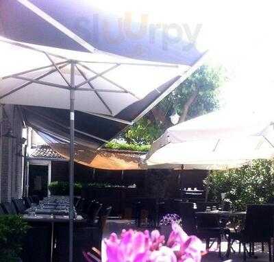 Foto 39331883