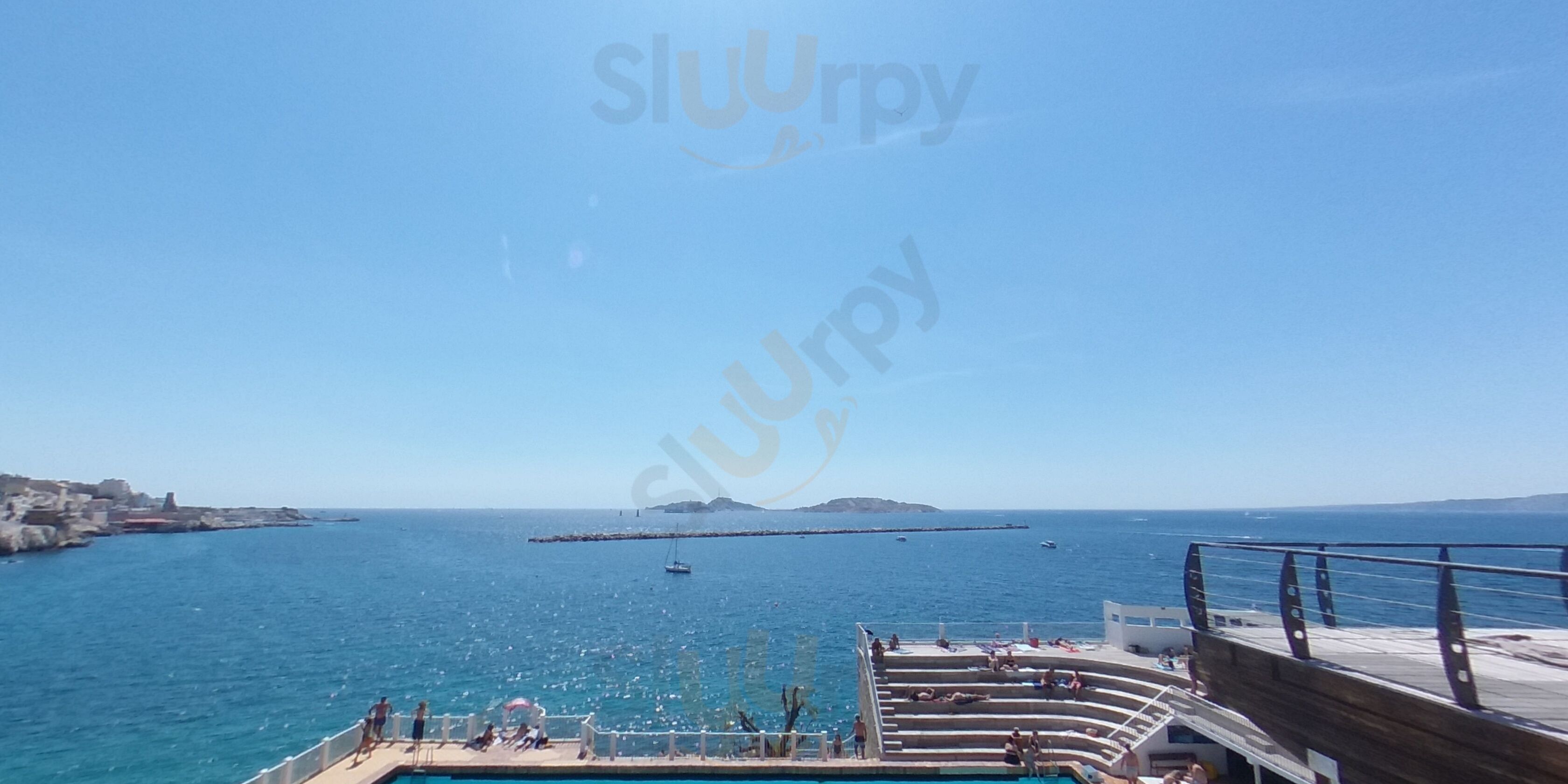 Cercle Des Nageurs Cnm