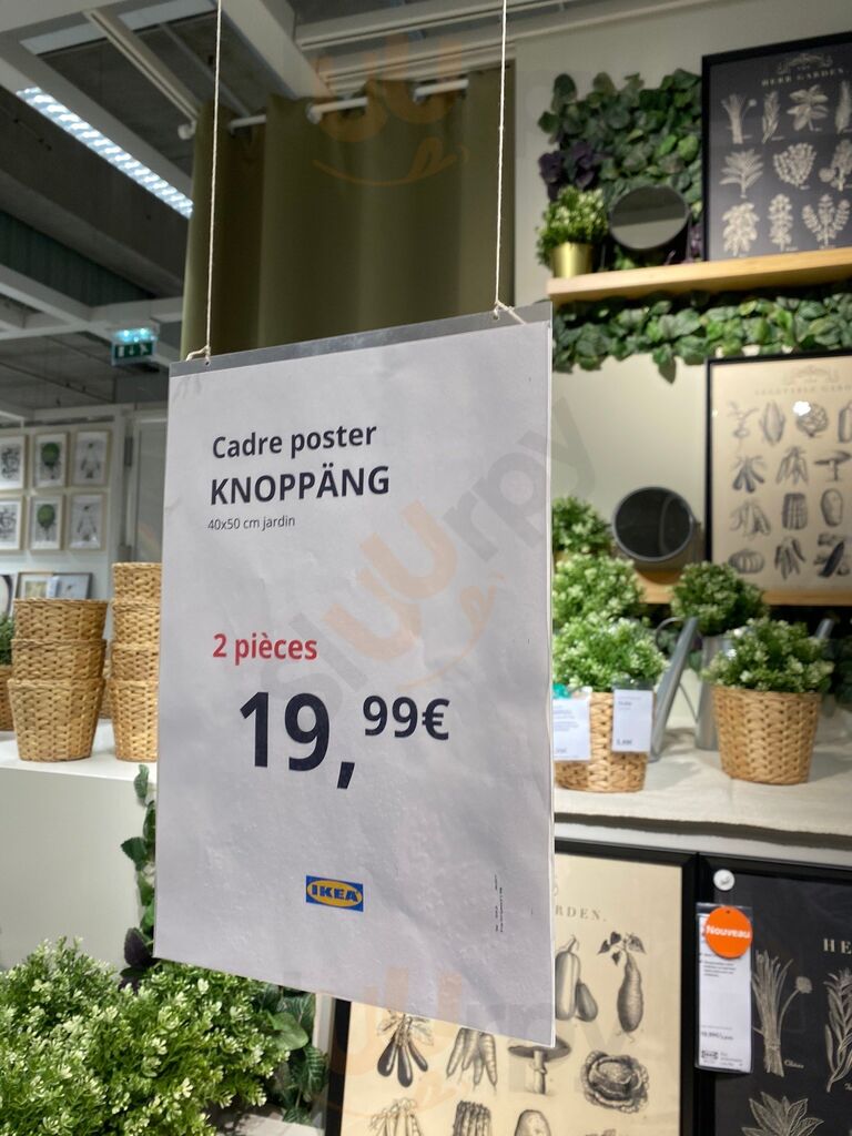 KNOPPÄNG Cadre poster, jardin - IKEA