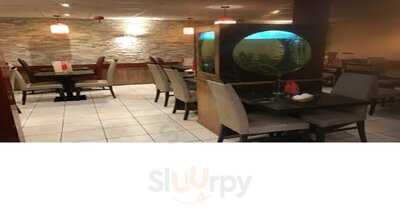 Foto 53627108