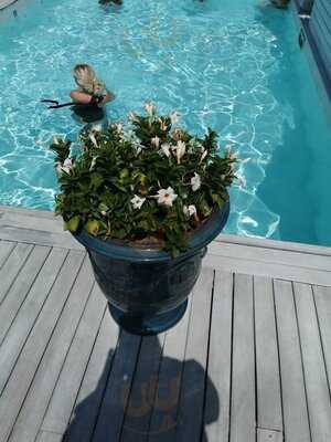 Foto 40456785