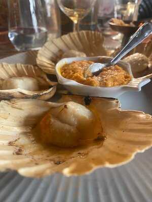 Le Porte-pot De L'ile Barbe