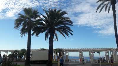 Foto 65299428