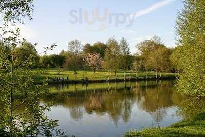 Foto 65312093
