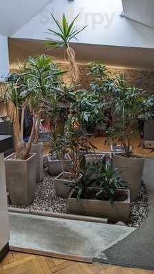 Foto 65319121