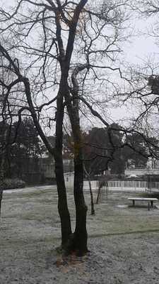 Foto 65323494