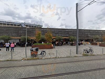 Dose Traiteur Végétal Bio