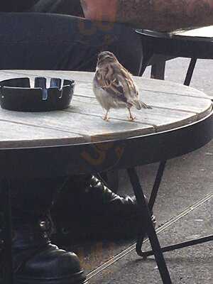 Starbucks Cc Lyon Confluence