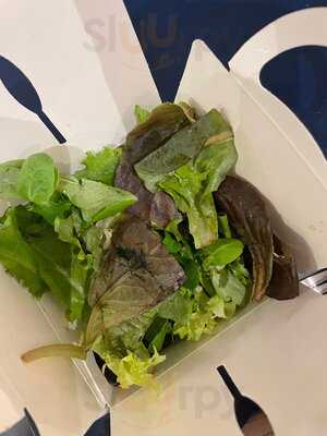 Hippopotamus Lyon Confluence