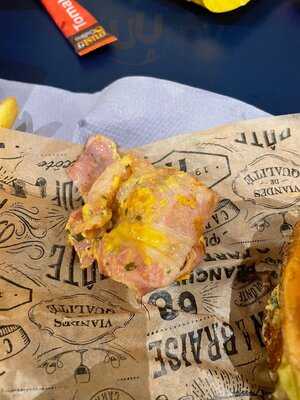 Hippopotamus Lyon Confluence