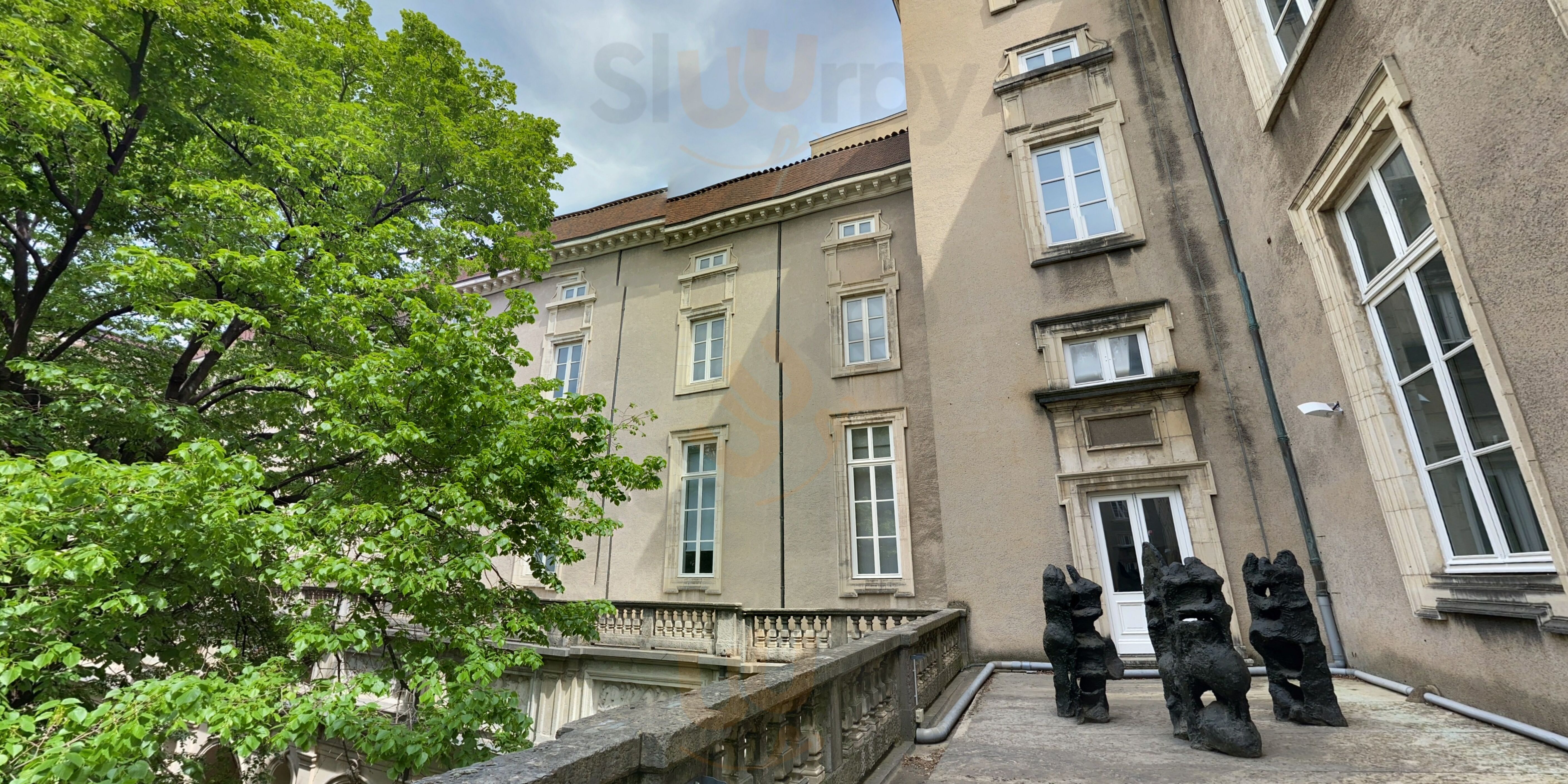 Le Palais Saint Pierre