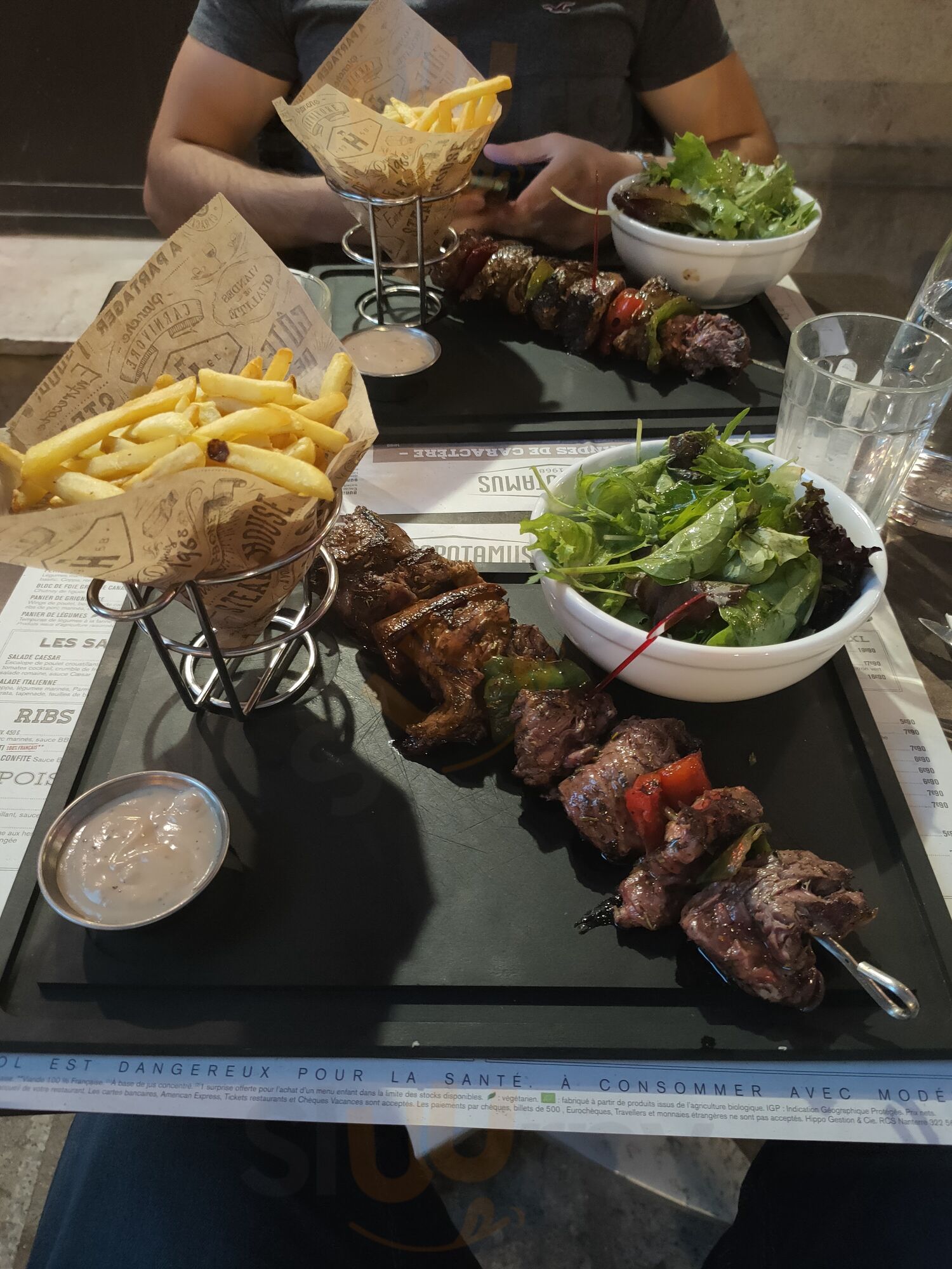 Hippopotamus Lyon  Mercière