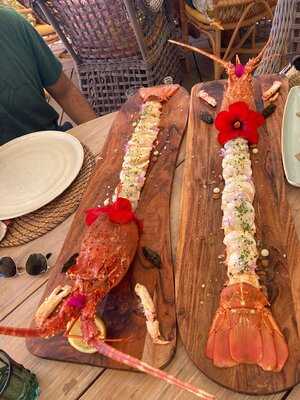 Foto 54175099