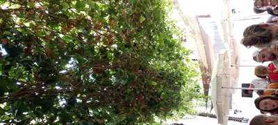 Restaurant Da Mama Ajaccio