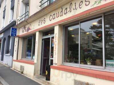 Foto 13229028
