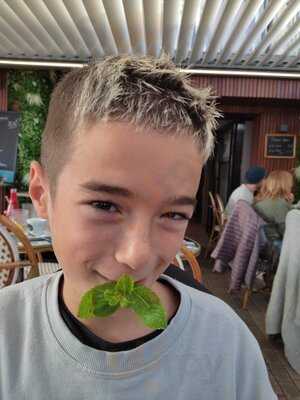 Foto 54288400