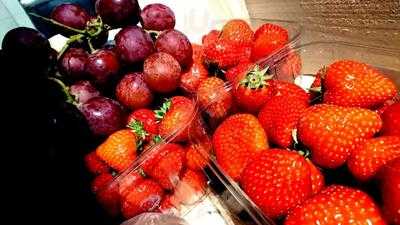 Café Brasserie Le Majestic Bastia