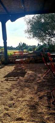 Foto 54289783