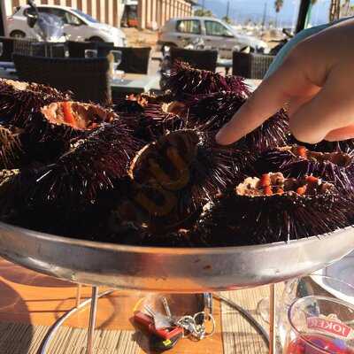 Brasserie Bar Du Marché Ajaccio
