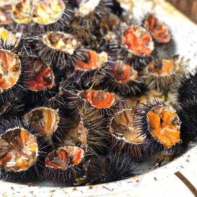 Brasserie Bar Du Marché Ajaccio