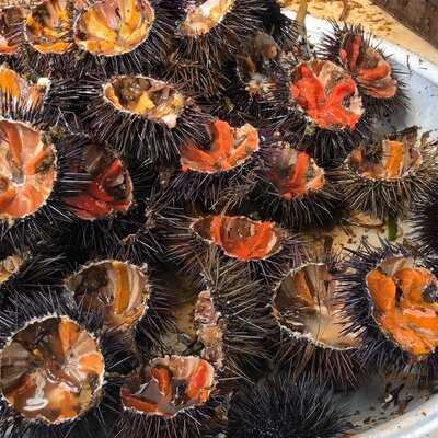 Brasserie Bar Du Marché Ajaccio