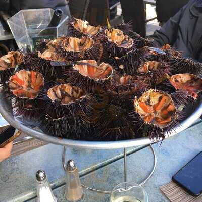 Brasserie Bar Du Marché Ajaccio