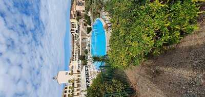 Foto 53971781